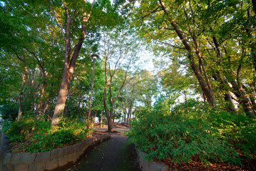 杉並区立松渓公園（東京都杉並区荻窪）