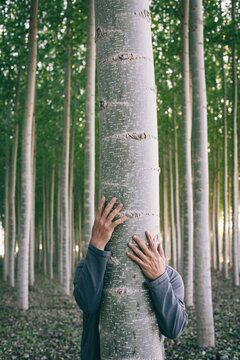 Tree hugger