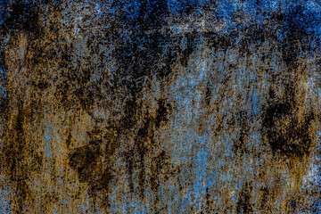 Shot of rough algae texture background on the wall. Horizontal shot.