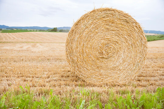 Golden Haystack after harvest in an open field landscape