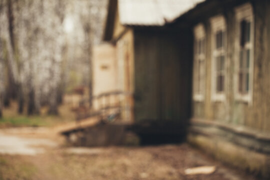 the old house in the wood