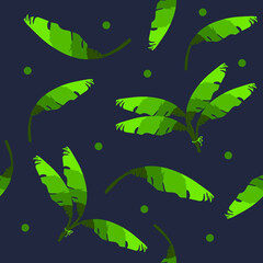 beautiful banana leaf pattern with dark background