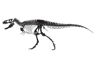 Fototapeta na wymiar Tyrannosaurus rex