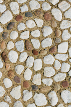 Pebble mosaic paving stone in a garden