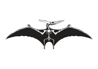 Pteranodon © captainvector