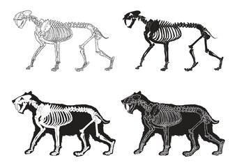 Set of saber-toothed cat icons