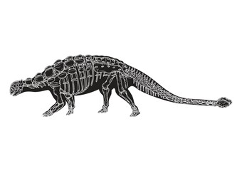 Ankylosaurus