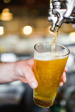 Beer Happy Hour