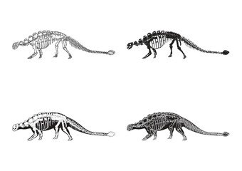 Naklejka premium Set of ankylosaurus icons