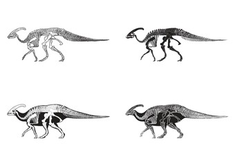 Set of parasaurolophus icons