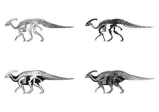 Set of parasaurolophus icons