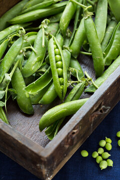 Fresh Peas in shell