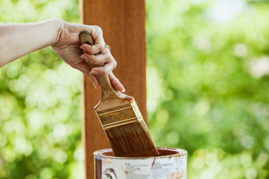 Staining: Woman Dipping Brush Into Stain Can
