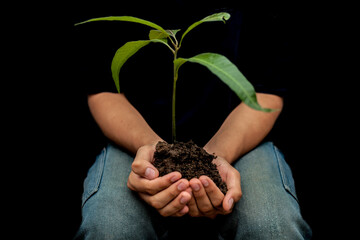 Shot of human hands holding a plant in his hand isolated over black background. Concept of Caring nature & Care for Mother Nature.