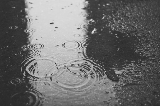 Rainy morning