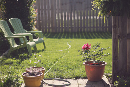 Backyard Patio On A Sunny Summer Monring