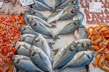 Fish and seafood for sale at a market in Venice, Italy