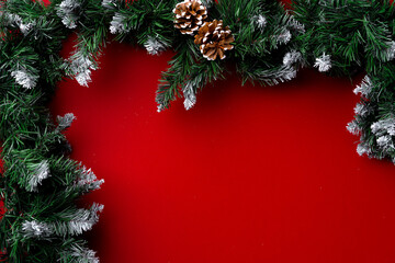 Frosted Christmas tree branches on red background