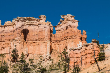 The Chinese Wall on The Fairyland Loop Trail, Bryce Canyon National Park,Utah,USA