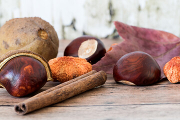 Buckeye Chestnuts,  fresh conkers in shell, leave and cinnamon stick on wood. Fall/Autumn scene for Halloween or Thanksgiving 