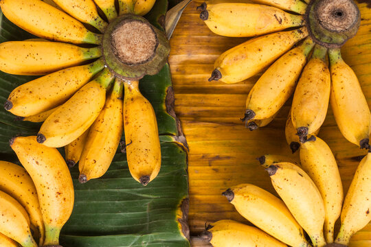 Going Bananas