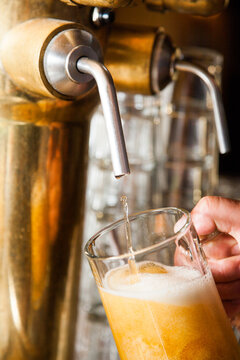A fresh draft beer or lager being prepared in a bar or brewery