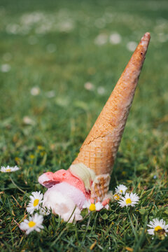A spilled icecream on the grass