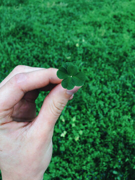 Womens Hand Holding A Four Leaf Clover