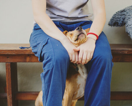 Dog sitting between owner's legs with the Girl cuddling and crumpling the dog's face