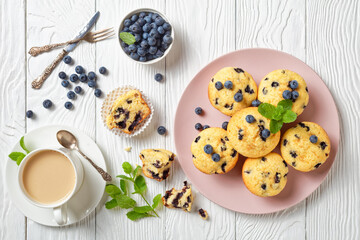 Blueberry muffins on a pink plate, top view