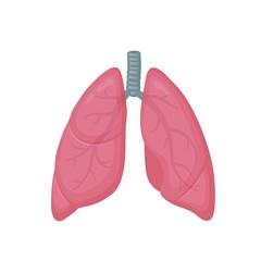 Human lungs flat style vector colorful illustration. Internal organ icon, logo. Anatomy, medicine concept. Healthcare. Isolated on white background.