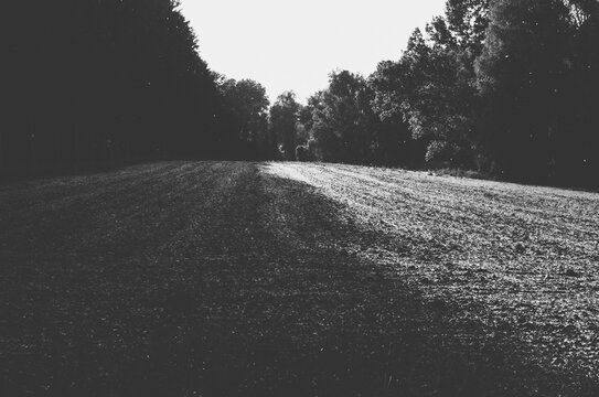 Ploughed Field