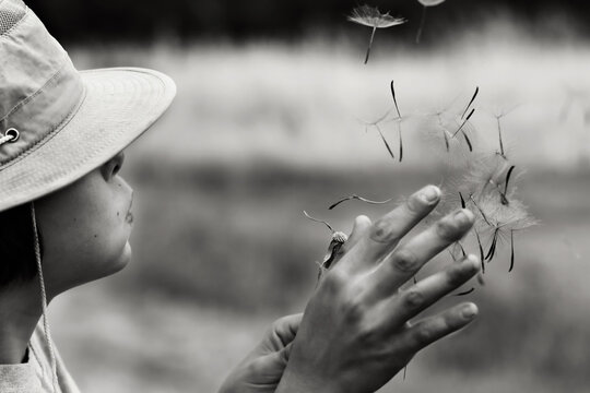 A boy making a wish with a dandelion