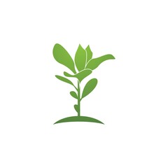 Fototapeta na wymiar Nature plant organic icon and symbol vector illustration