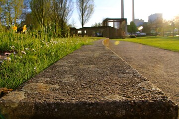 Fototapeta premium the road in the park