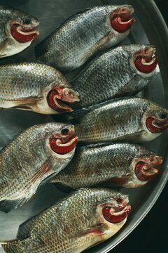 Raw fish