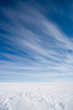 Icecap on Expedition