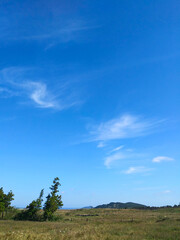 Obraz premium 제주도 풍경