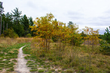 Pathway trail in grassland in Fall Michigan