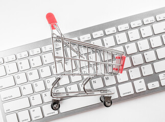 Safe Online shopping concept. Shopping cart protected with hand on white background