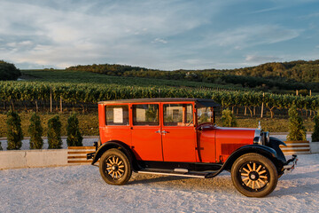 Vintage retro car near a vine plantation.