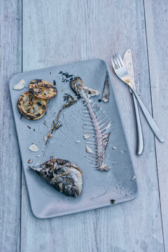 Food: Fishbone, eaten up Sea bream