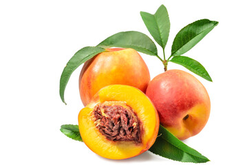 fruits of nectarine