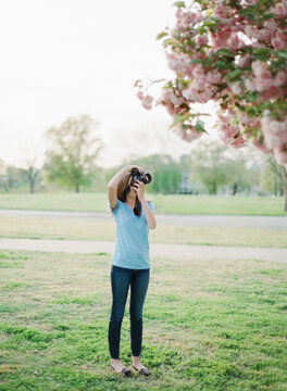 Young teen girl taking pictures of Cherry Blossom flowers.