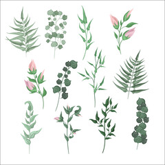 Obraz premium Decorative floral branches, flowers and plants isolated on a white background. Collection of plants