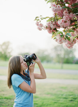 Girl taking photos of Cherry Blossom tree with pink blooms