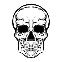 Black human skull on a white background. Hand drawing, tattoo sketch, print