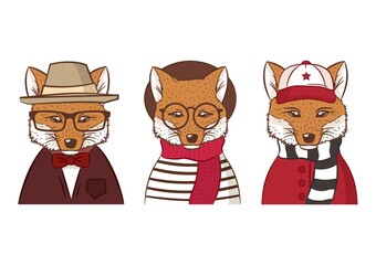 three hipster foxes