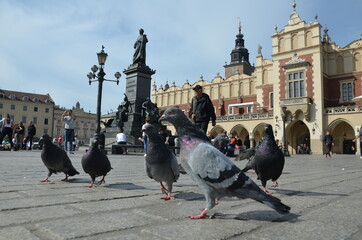 Kraków , Rynek , Kościół Mariacki , Sukiennice , Kraków Kamienice , Kościół Kraków , Rynek Sukiennice , Polska Kraków , Ulice Krakowa , Kraków budynki stare , Kamienice w Krakowie  Rynek Stary, Kraków © Szymon