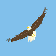 Vector illustration of an eagle in flight.